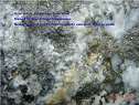 Show image '2-F - click to enlarge' in New Window