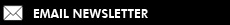Email Newsletter